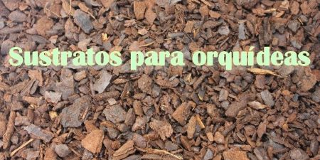 Sustrato Para Orquídeas