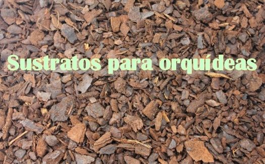 Sustrato Para Orquídeas