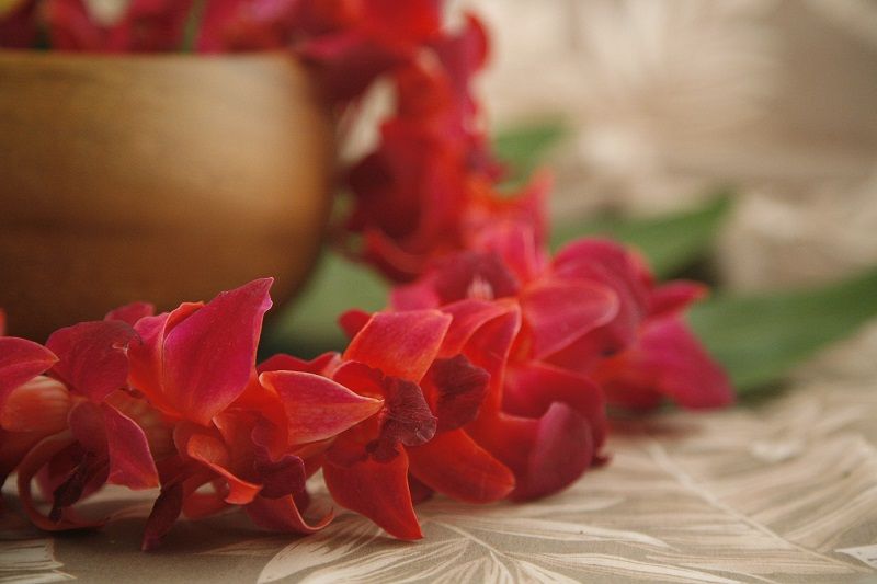 Decoración con orquídeas rojas